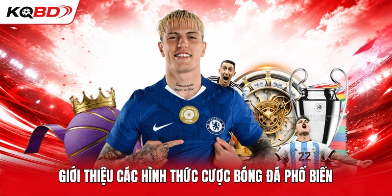 Giới thiệu các hình thức cược bóng đá phổ biến