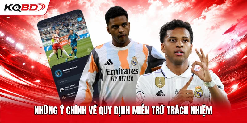 Những ý chính về quy định miễn trừ trách nhiệm 